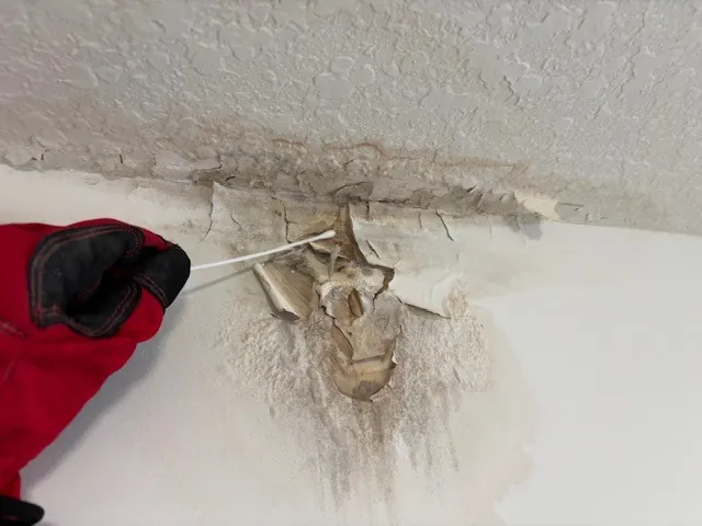 Ceiling material sampling with gloved hand and probe
